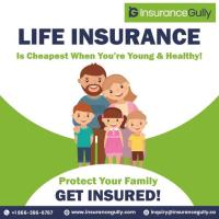 Insurance Gully image 2